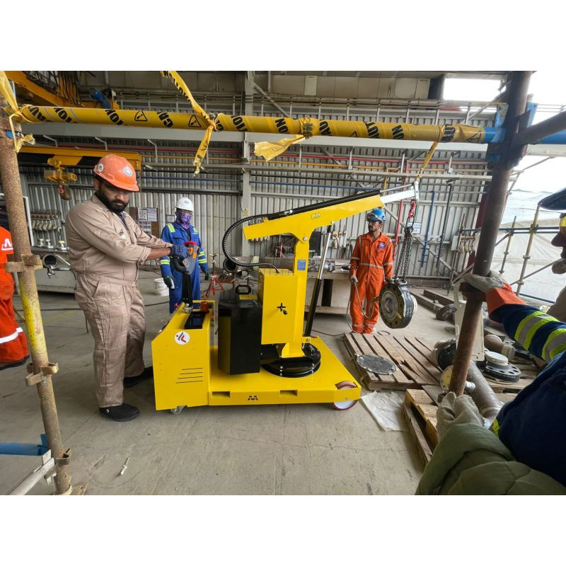 Grue d'atelier porte-à-faux motorisée rotation manuelle du mât à 270º